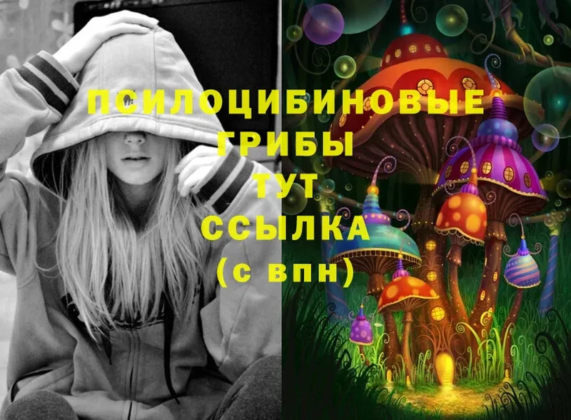 Псилоцибиновые грибы Psilocybe  Белоярский 